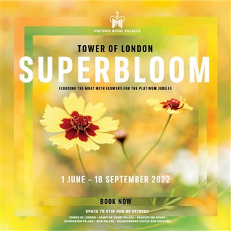 Superbloom and The Tower of London